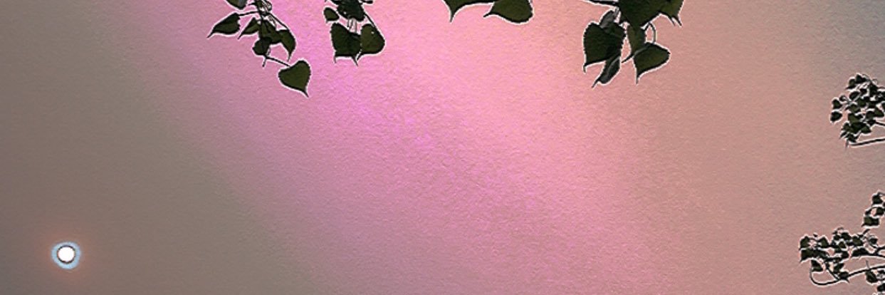 TaeLaaMade's profile banner image