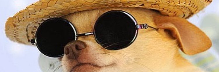 miadoyon's profile banner image