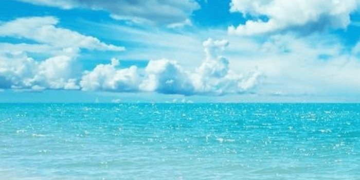 sukechank4916's profile banner image