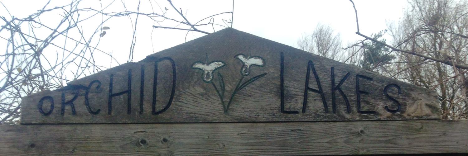 LakesOrchid's profile banner image