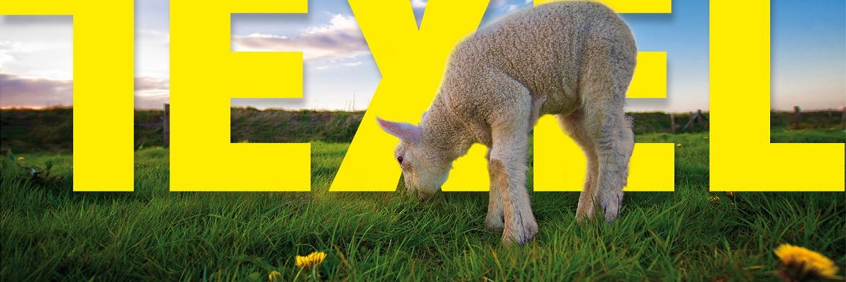 TXL0222's profile banner image