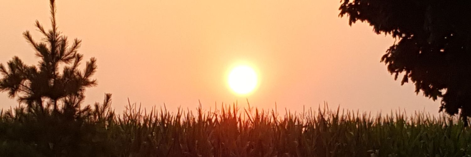 jennltanis's profile banner image