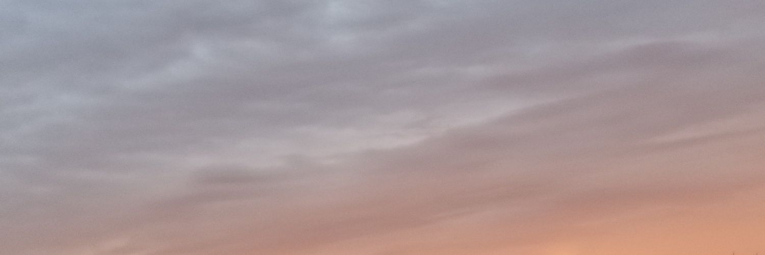 BideshiGirl's profile banner image