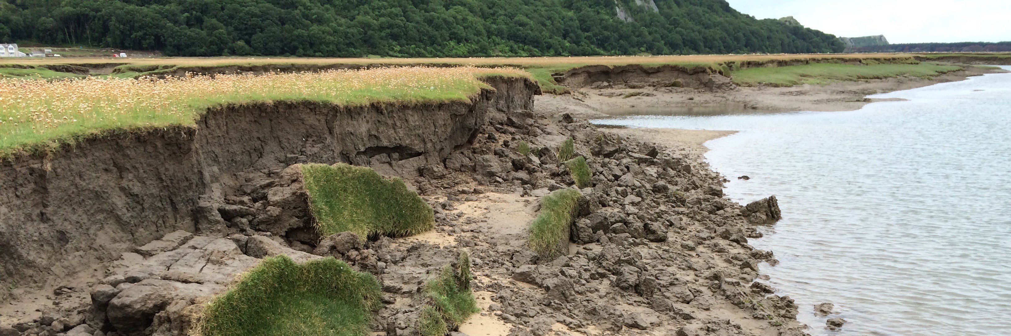 RESILCOAST's profile banner image