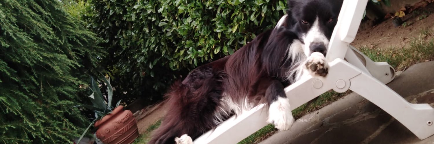 Riccardo Raccagni banner