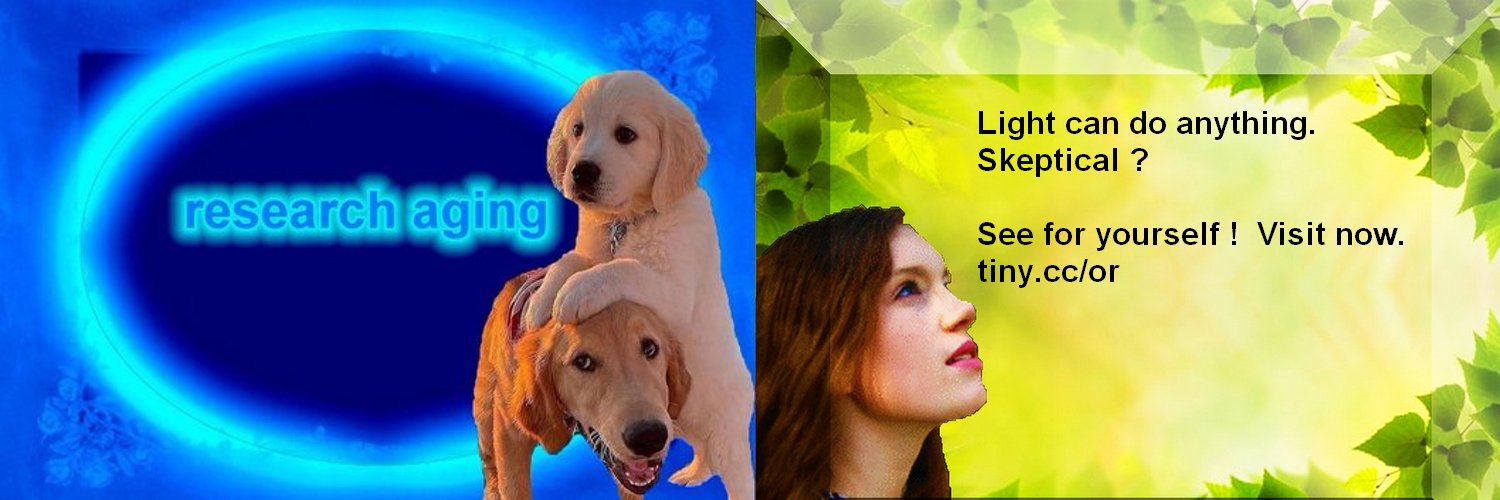 zacopol's profile banner image