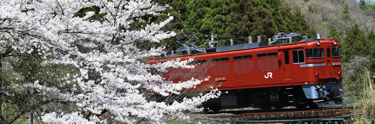 tny1202's profile banner image