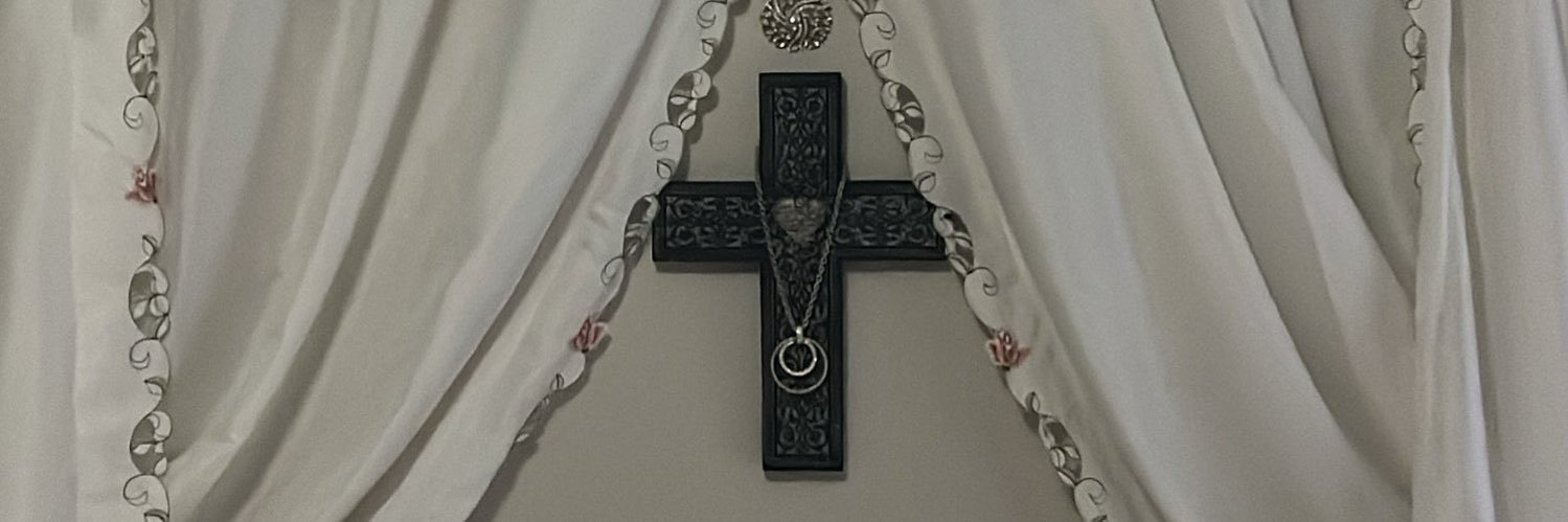LilyMateonv's profile banner image