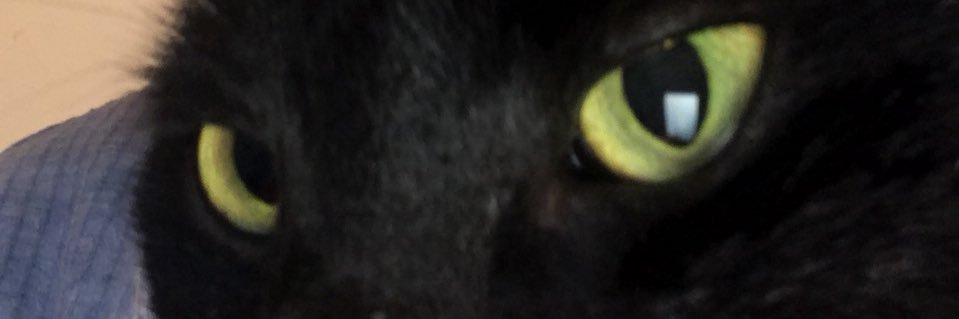 LisaEvans2's profile banner image