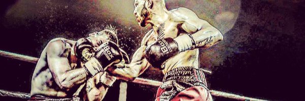 iboxcustomise Profile Banner