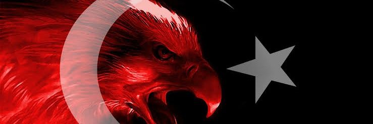 pcWoLFman's profile banner image
