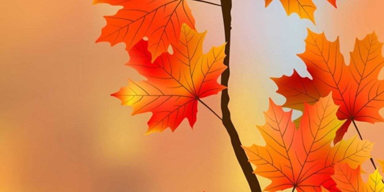everfresh82's profile banner image