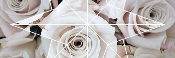 Pudra__'s profile banner image