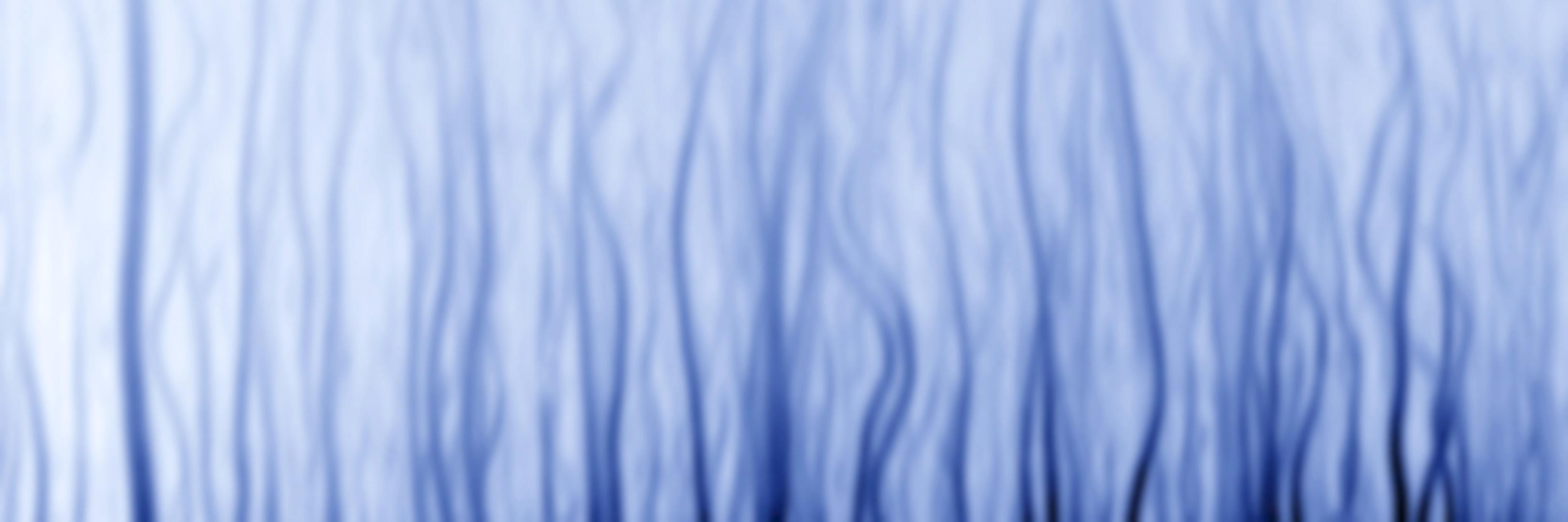 GallopLab's profile banner image
