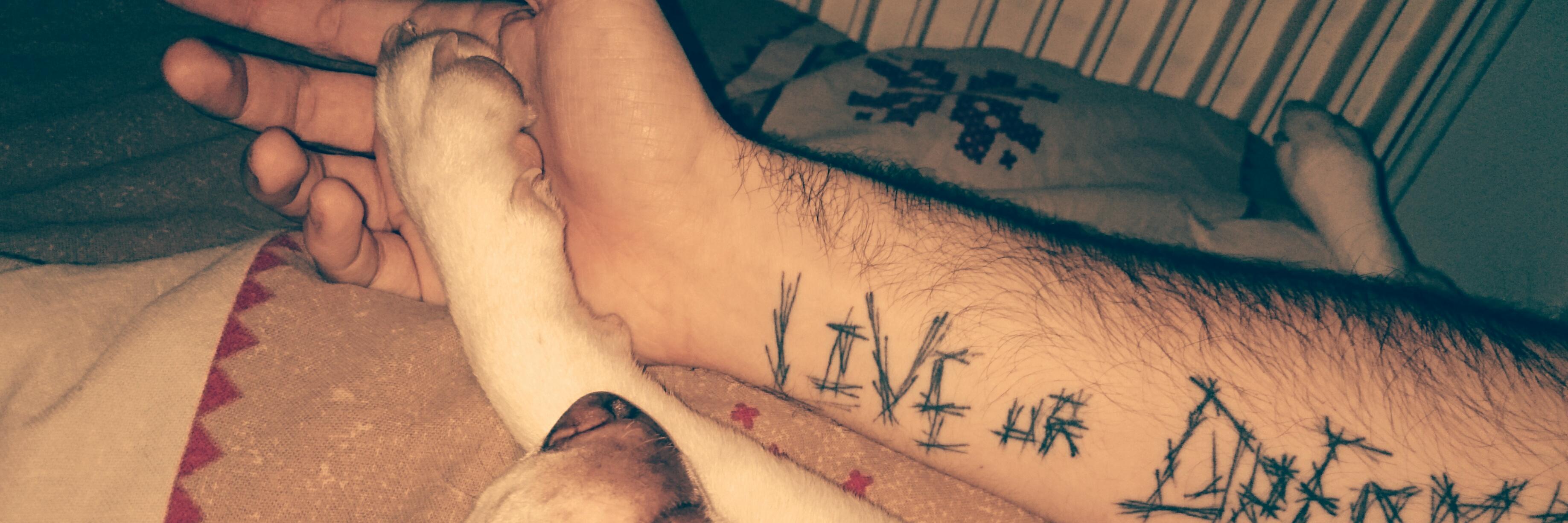 ThibsSemkey's profile banner image