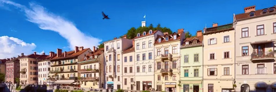 exploradoga's profile banner image