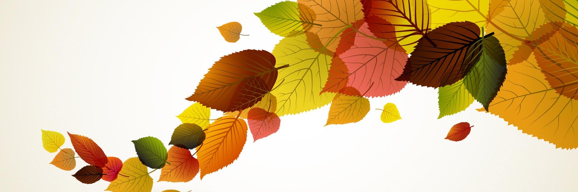 Fereshte_h_'s profile banner image