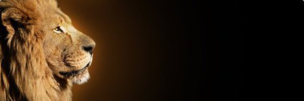 DDunk32 Profile Banner