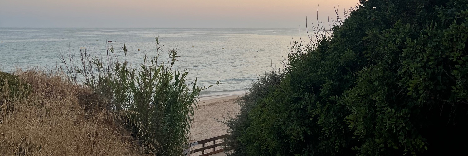 BeaPereira02's profile banner image
