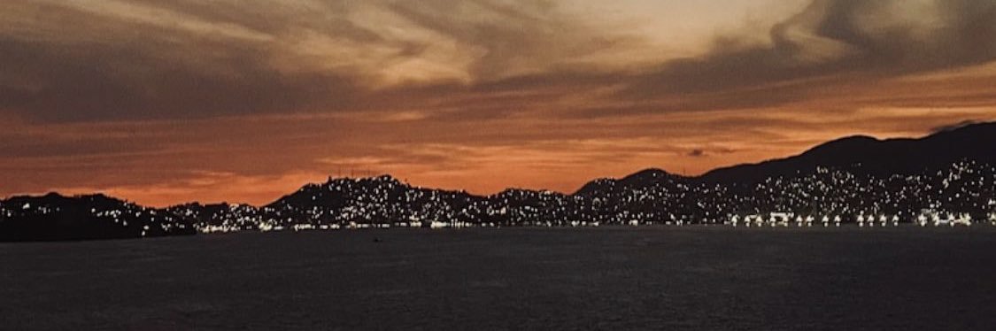 P. banner