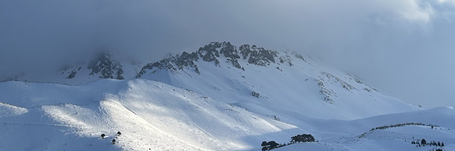 Alex Maximøv banner