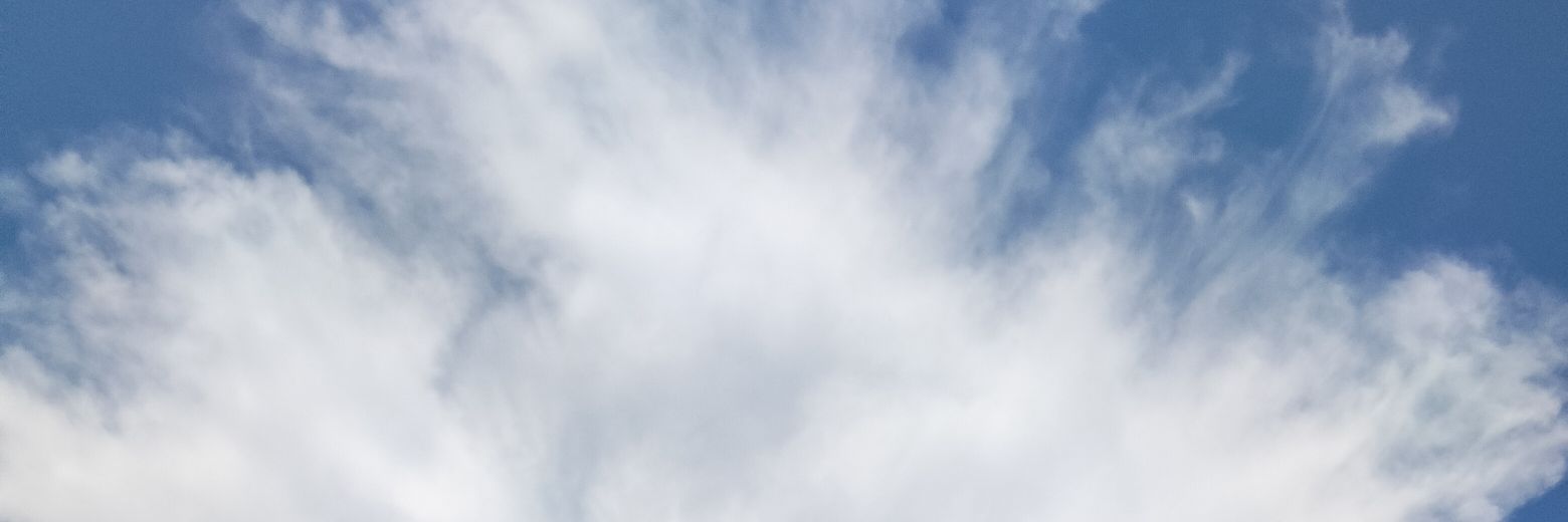 msperflyfinee's profile banner image