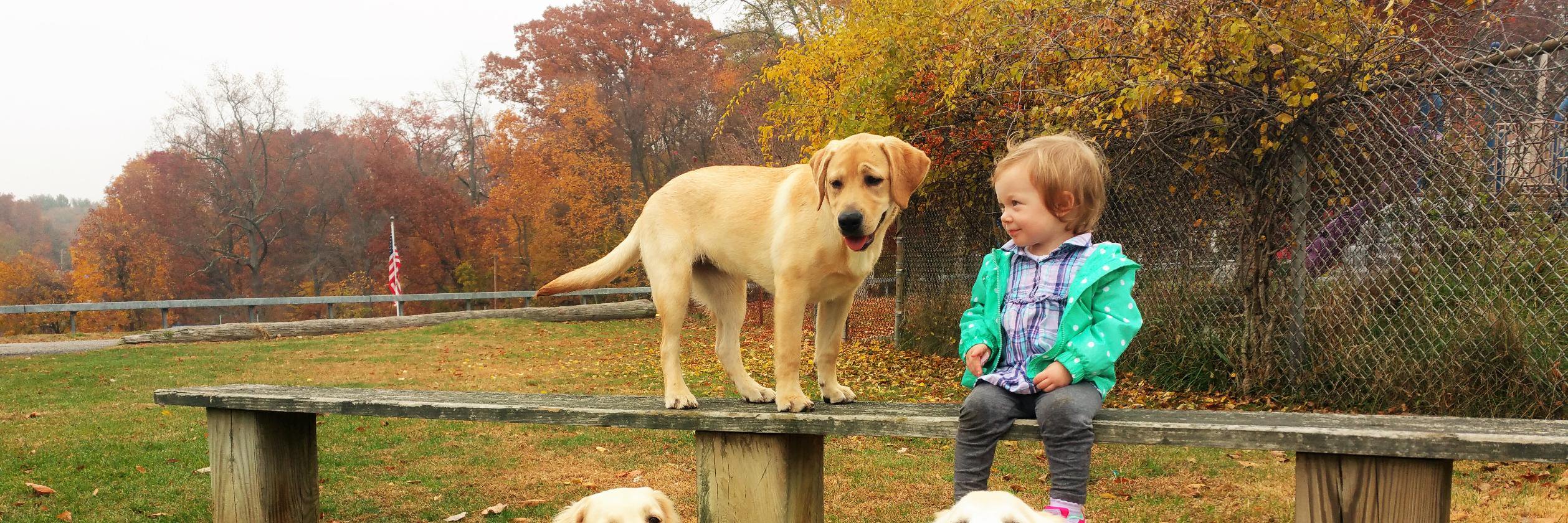 GivingRetriever's profile banner image