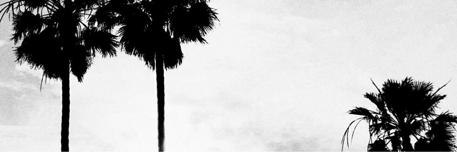 chevitaparanoia's profile banner image