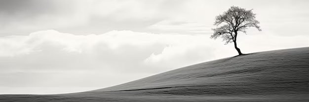 onercelik1's profile banner image