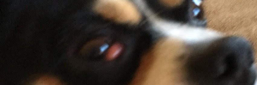 NoLoveDeepWeeb's profile banner image