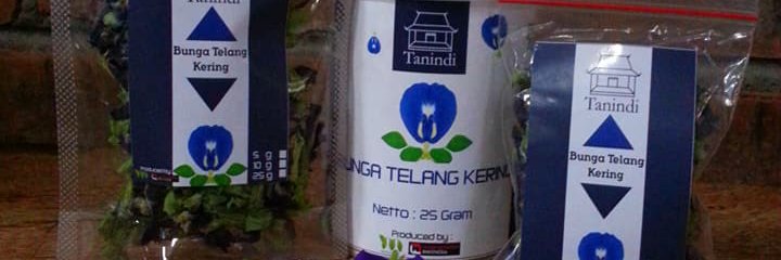 Bunga Telang Martani Prambanan banner