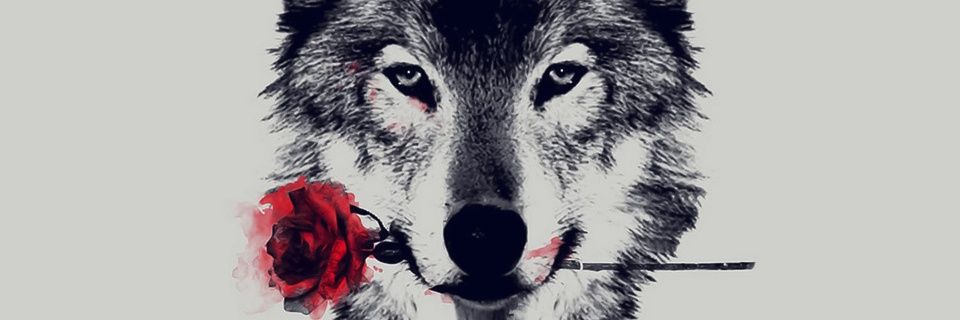 King_Pryde's profile banner image