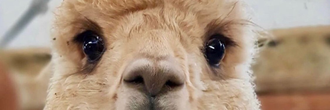 Meeemzi's profile banner image