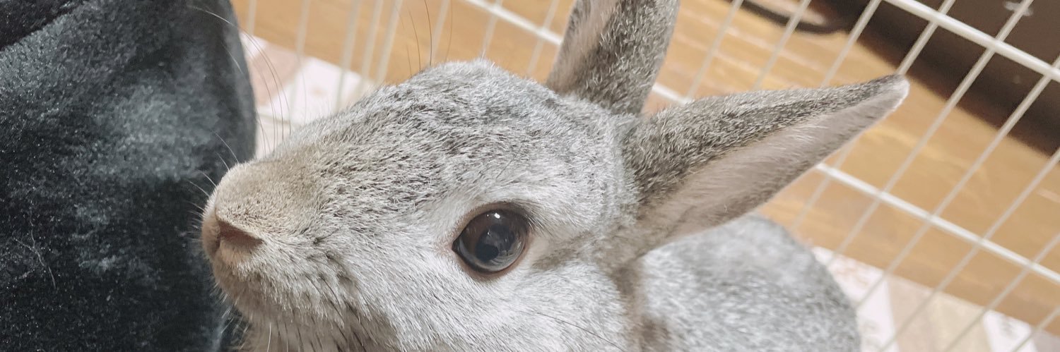 めちゃんまん banner