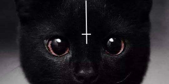 ComicZombie13's profile banner image