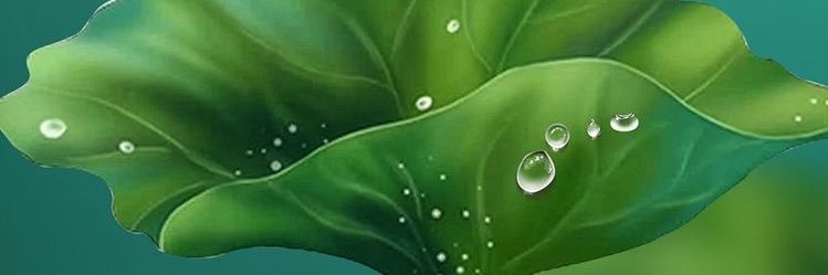 DianeManda's profile banner image