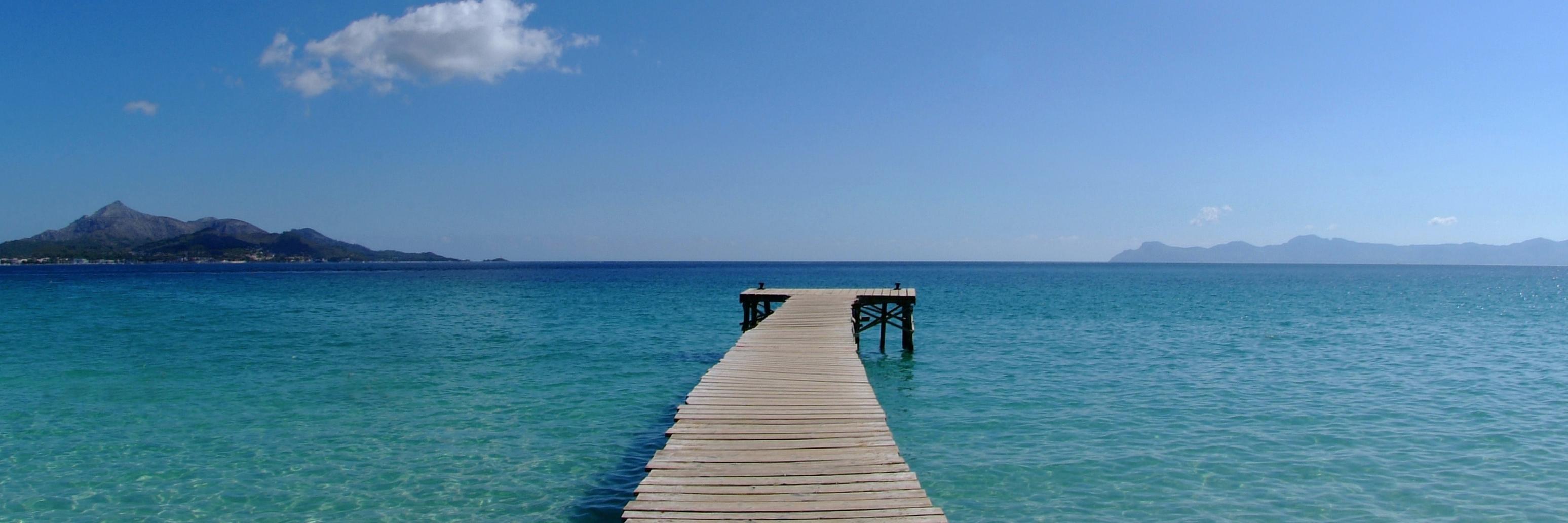 Javier Moya banner