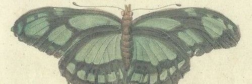 Fibleou's profile banner image