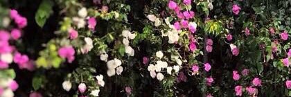 no0r0a0's profile banner image