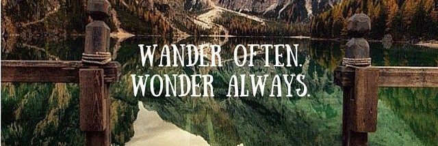 WonderingCaryn's profile banner image