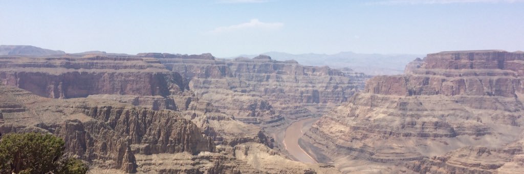 SheaMcGarrity's profile banner image