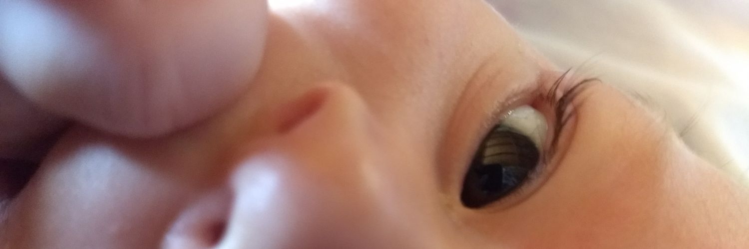 florrfrontini's profile banner image