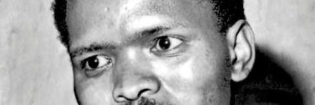 Steward Masela banner