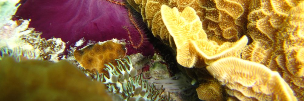 Matt Tietbohl, PhD banner