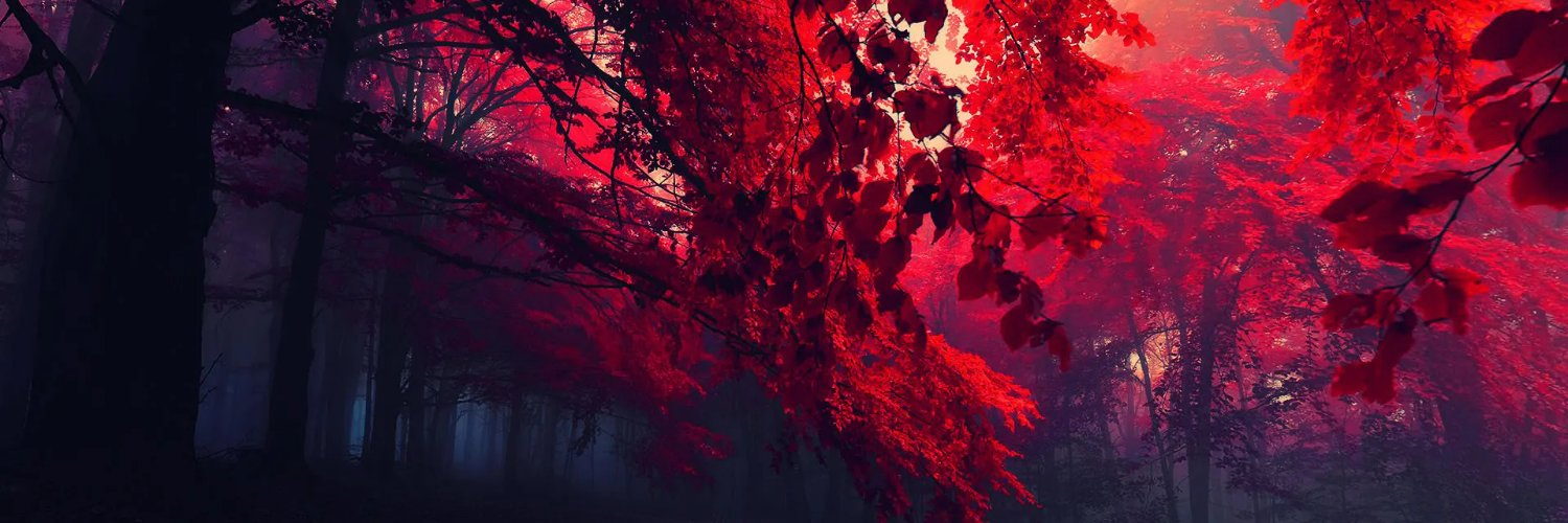 tranchithanh90's profile banner image