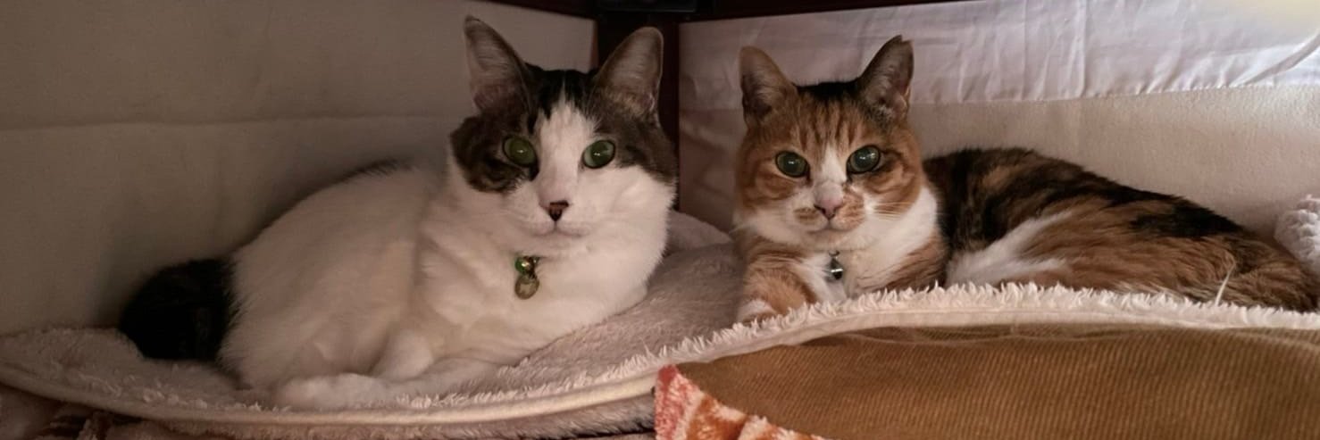 Leo9ner's profile banner image
