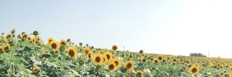0222Tacharo's profile banner image