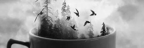 DhyaakQAlbayati's profile banner image