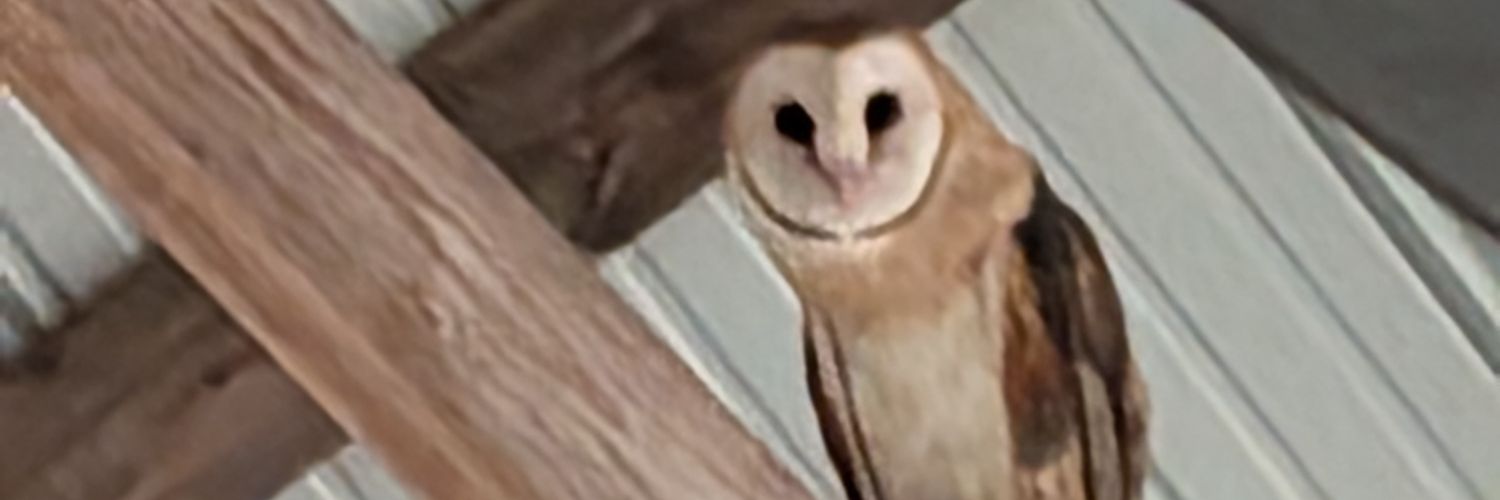 bthomas9's profile banner image