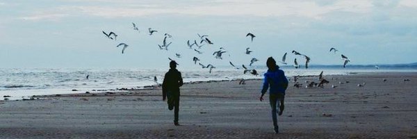 orilladmar Profile Banner
